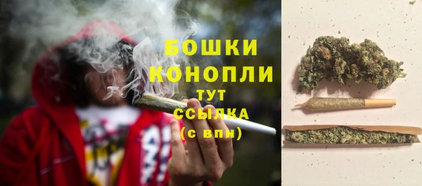 стаф Зеленодольск