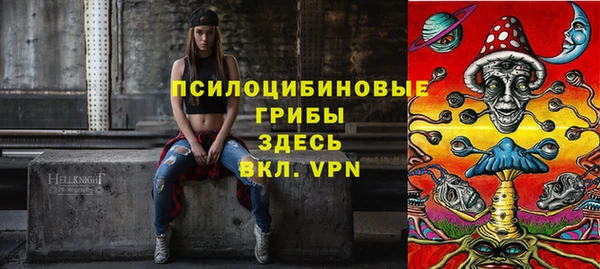 ПСИЛОЦИБИНОВЫЕ ГРИБЫ Зеленокумск