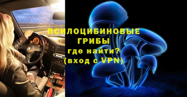 стаф Зеленодольск