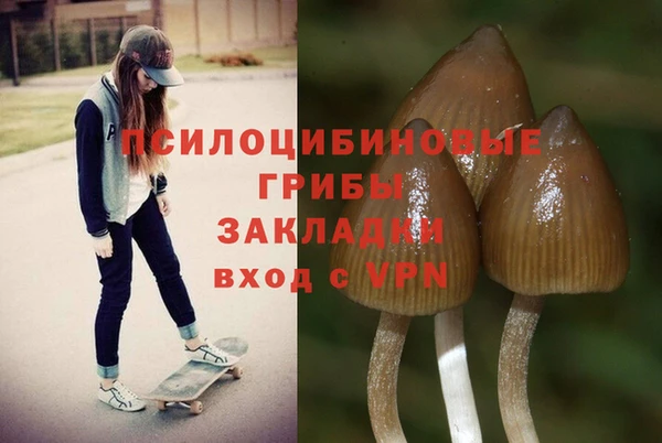 a pvp Зерноград