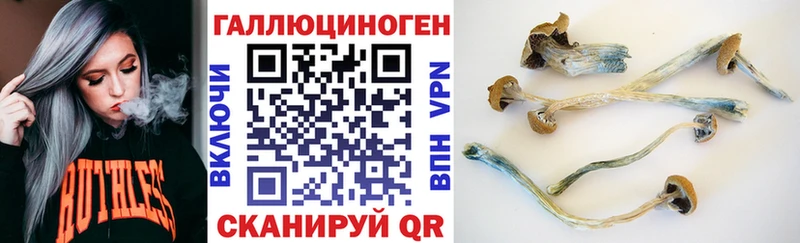 Псилоцибиновые грибы Cubensis  Шарыпово 