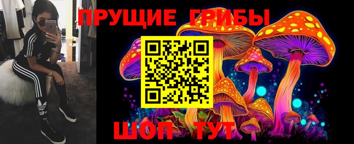 Галлюциногенные грибы мухоморы Шарыпово